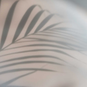 palm leaf shadow on grey background; https://cdn.shopify.com/videos/c/o/v/4f2699cfc5f443f9b133d85bdd1f7dc5.mp4