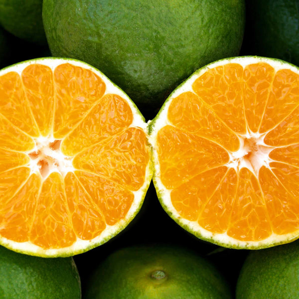 Halved orange fruit surrounded by green fruits