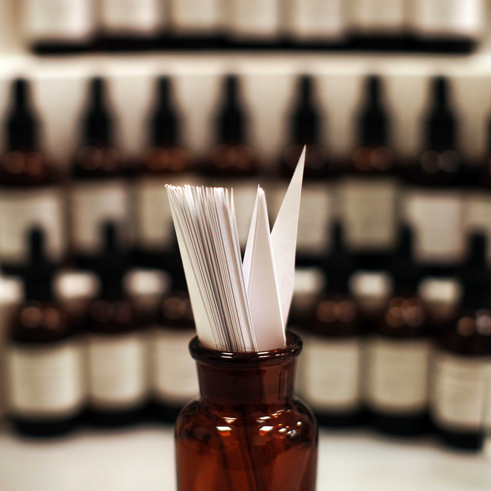 perfume blotters in bottle with perfume bottles in background