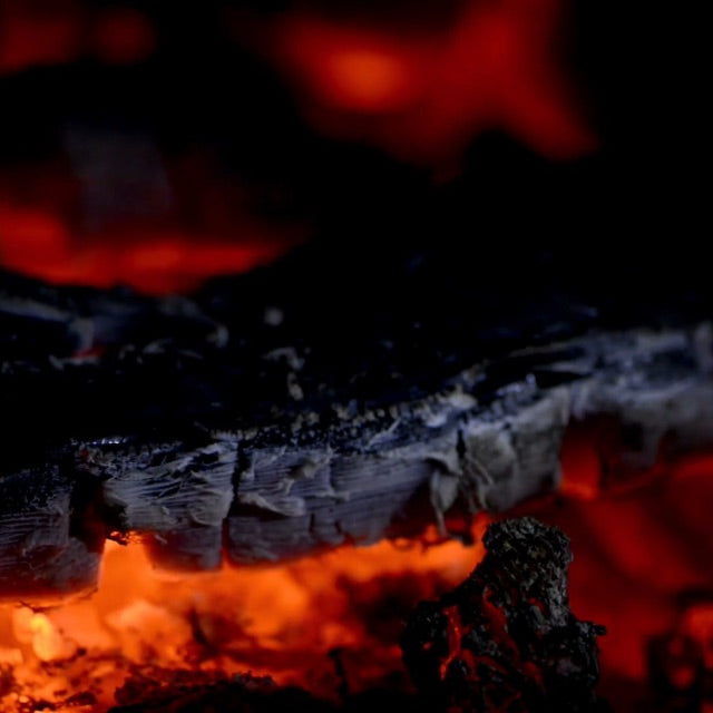 campfire in forest at dusk