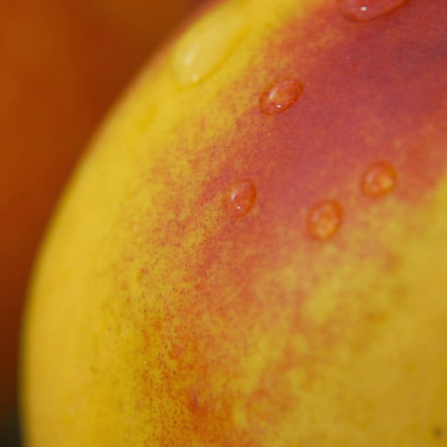 juicy yellow peach cut in half showing pit