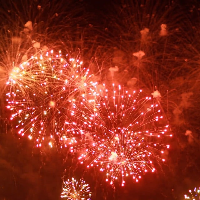 pink and yellow fireworks in night sky