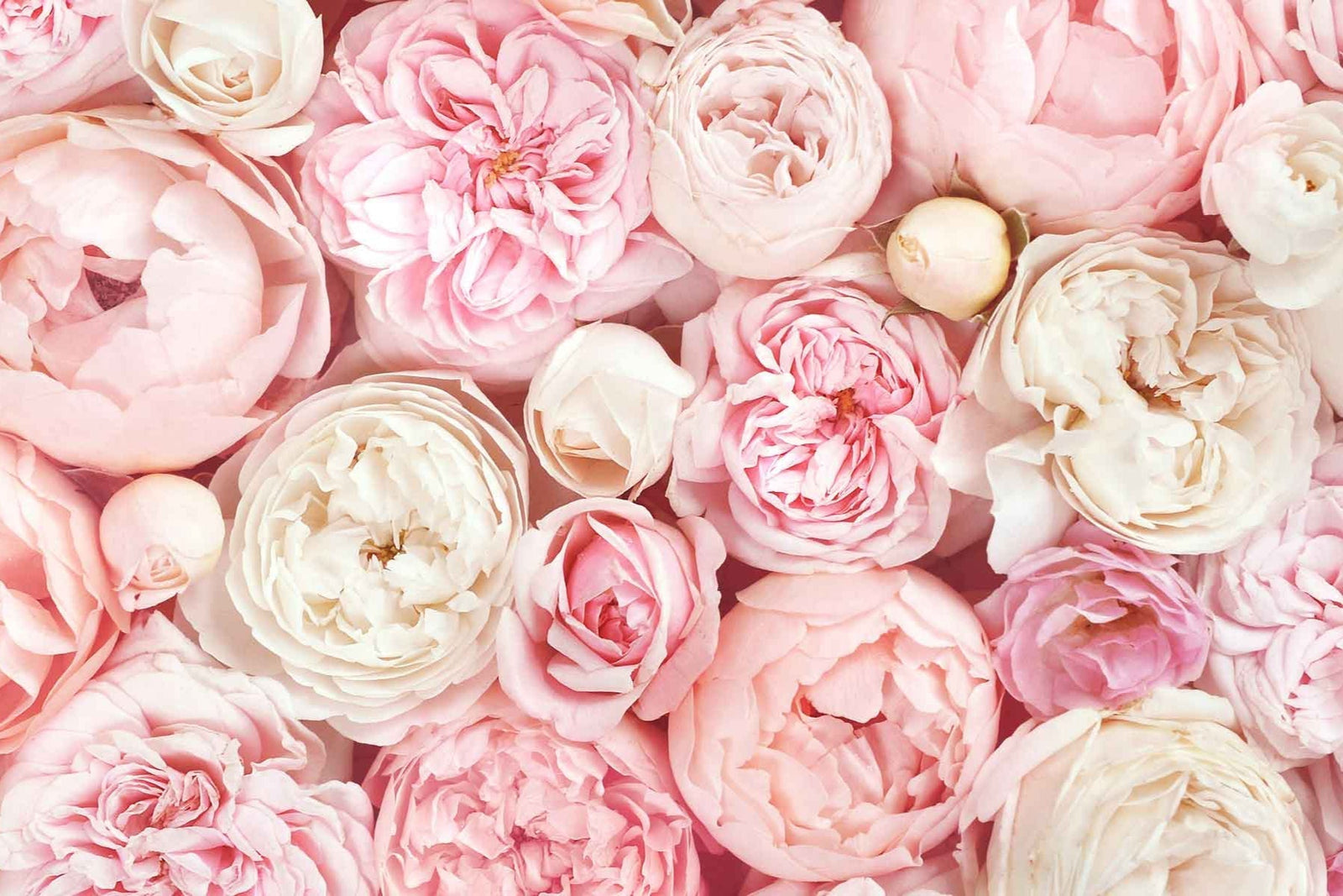 The Myth of Gender-Specific Fragrance