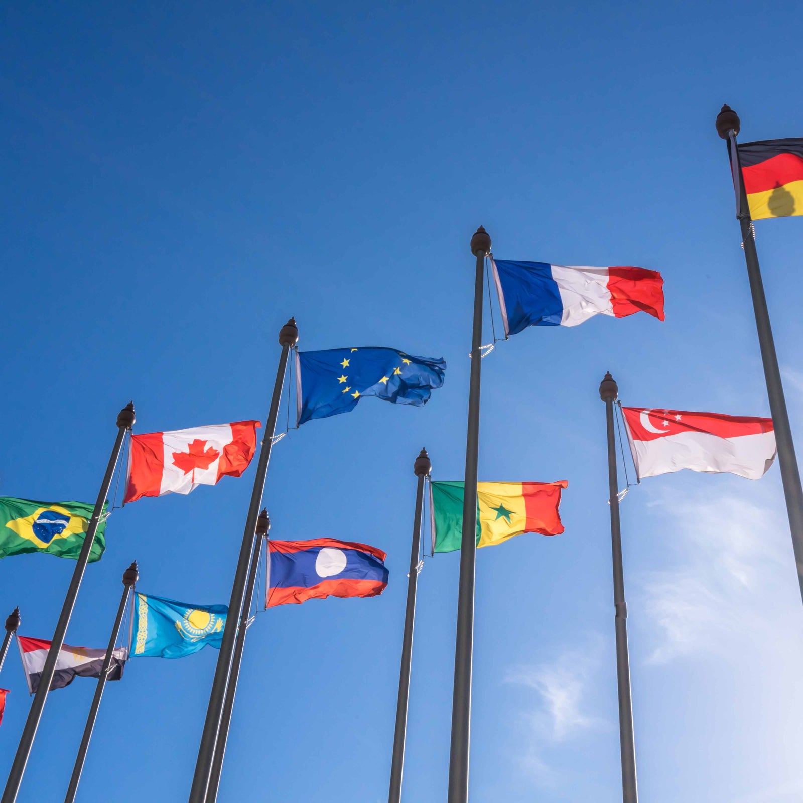 Fragrance Oils for International Markets