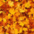Fall & Winter Fragrances