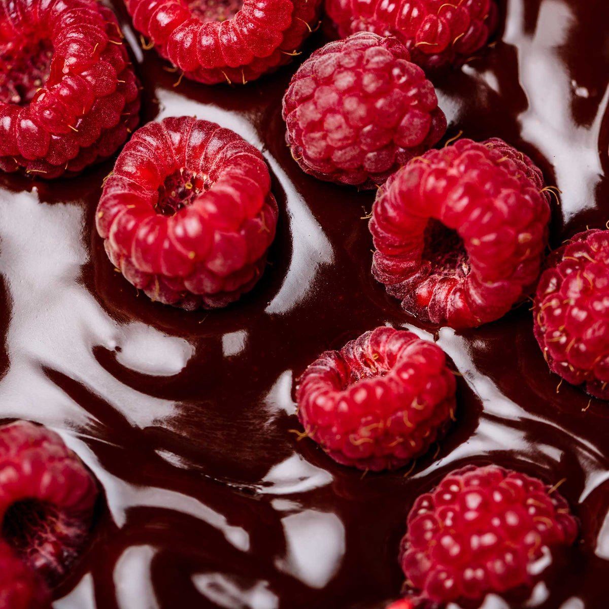 red raspberries in melted dark chocolate; https://cdn.shopify.com/s/files/1/0457/0333/1991/files/Black_Raspberry.mp4?v=1644867953