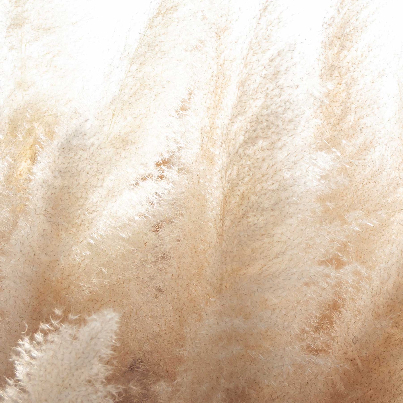 Cashmere Wood Fragrance Oil - Soft Sandalwood Scent - Soft Plants Moving in Wind; https://cdn.shopify.com/videos/c/o/v/1f8bd04b04f949c58b94b22097236383.mp4