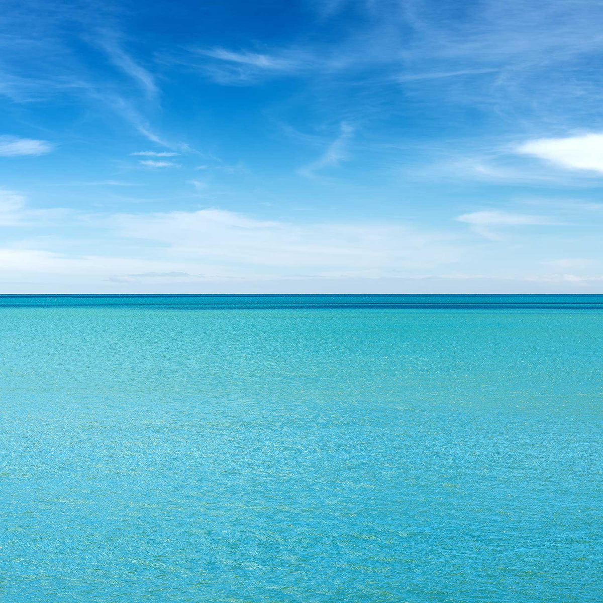 calm turquoise ocean and blue sky; https://cdn.shopify.com/videos/c/o/v/a369587b39be4b6b9c61bb24a200ba23.mp4