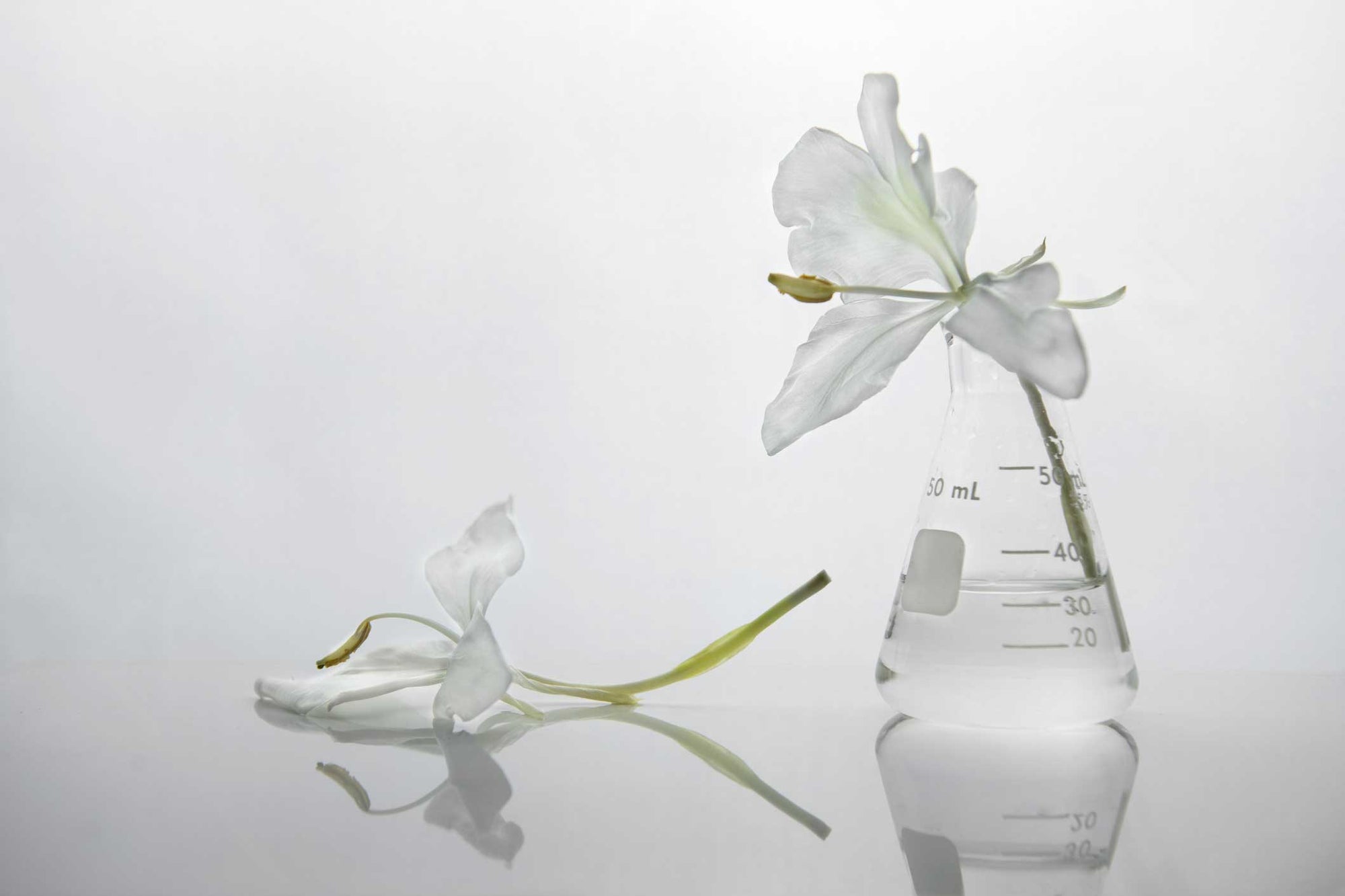perfume lab bottles with white flowers