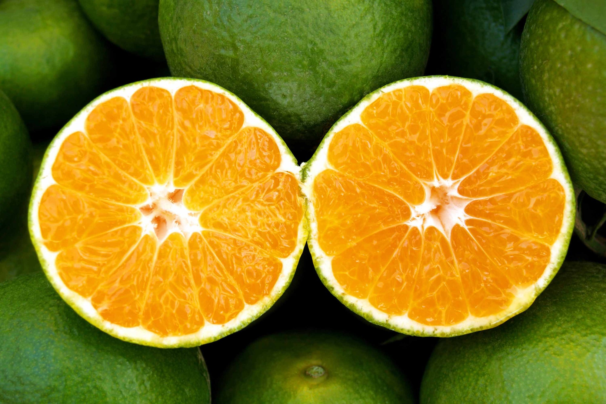 close up of green mandarin cut in half