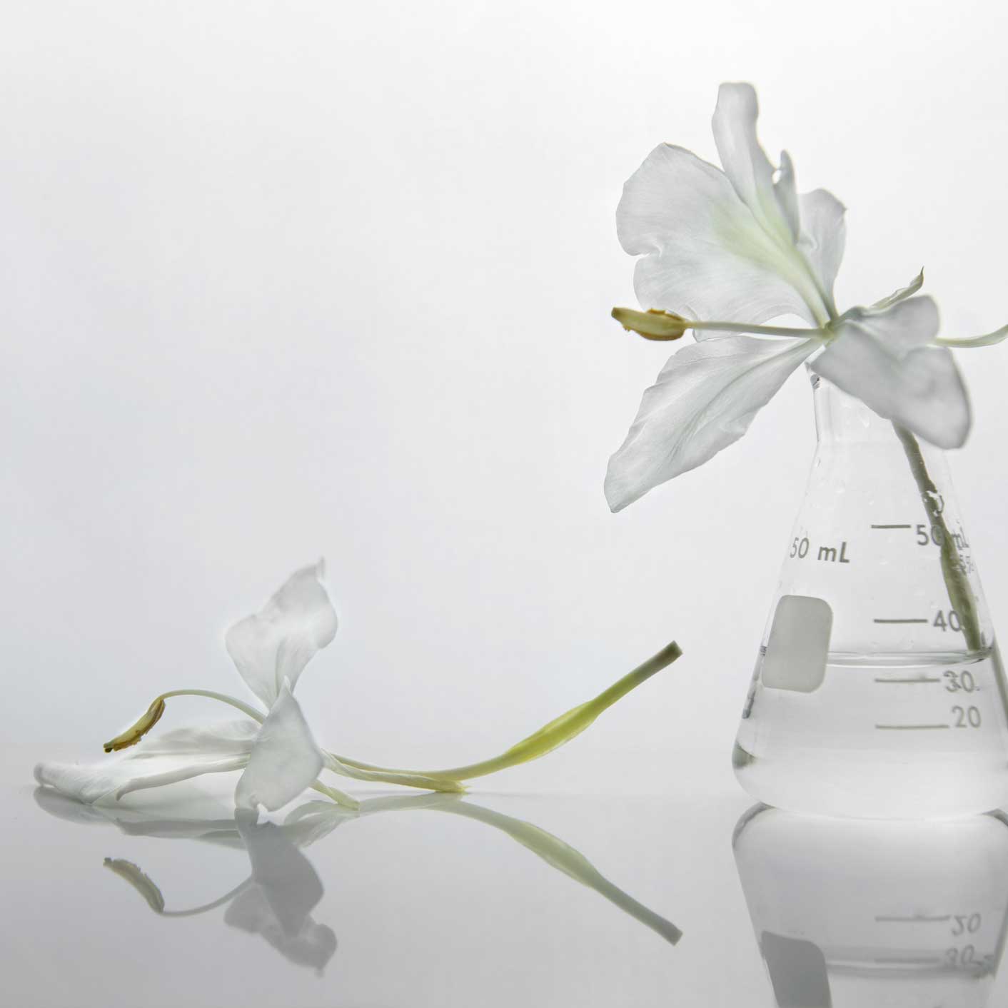 Production β lab bottles with white flowers