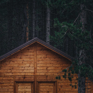 log cabin in forest; https://cdn.shopify.com/videos/c/o/v/3bf5171b1fa94f44bdee035dc725e3c5.mp4
