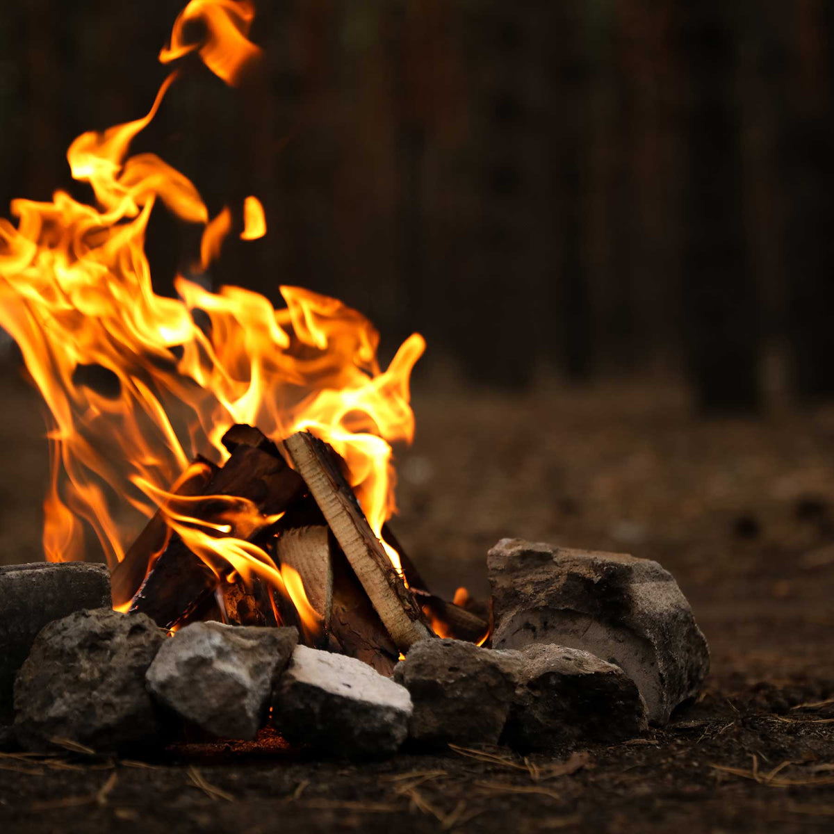 campfire in forest at dusk; https://cdn.shopify.com/s/files/1/0457/0333/1991/files/Fireside.mp4?v=1647445524