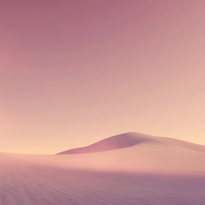 pink sand dune landscape; https://cdn.shopify.com/videos/c/o/v/56af6337849846a99b188967613b981d.mp4