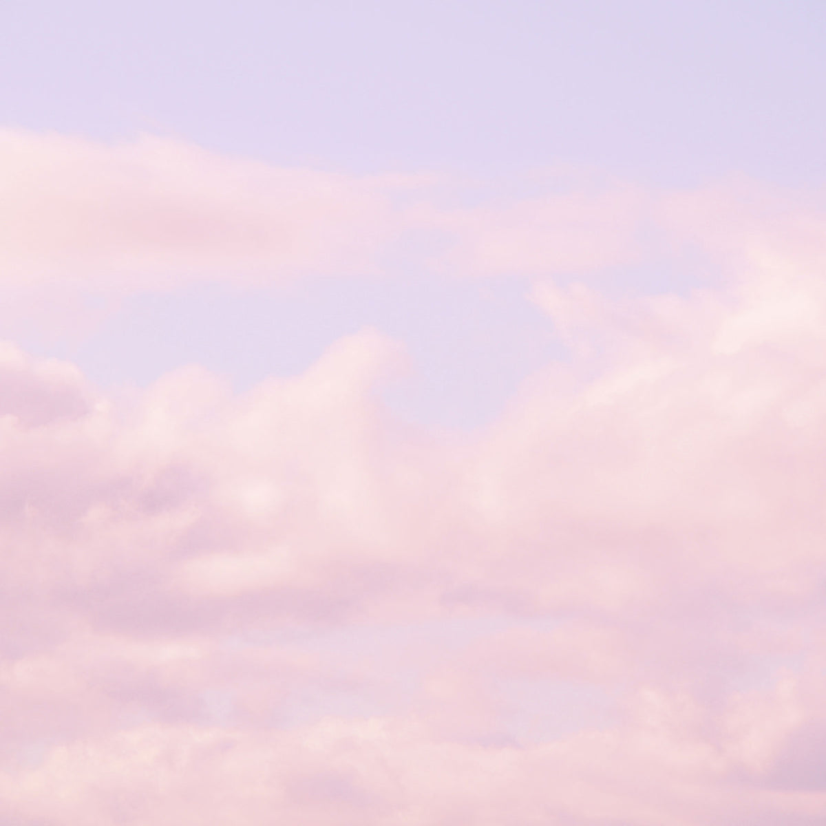 pastel pink clouds against light blue sky; https://cdn.shopify.com/videos/c/o/v/784af816ce2e437f991576102a15f4f2.mp4