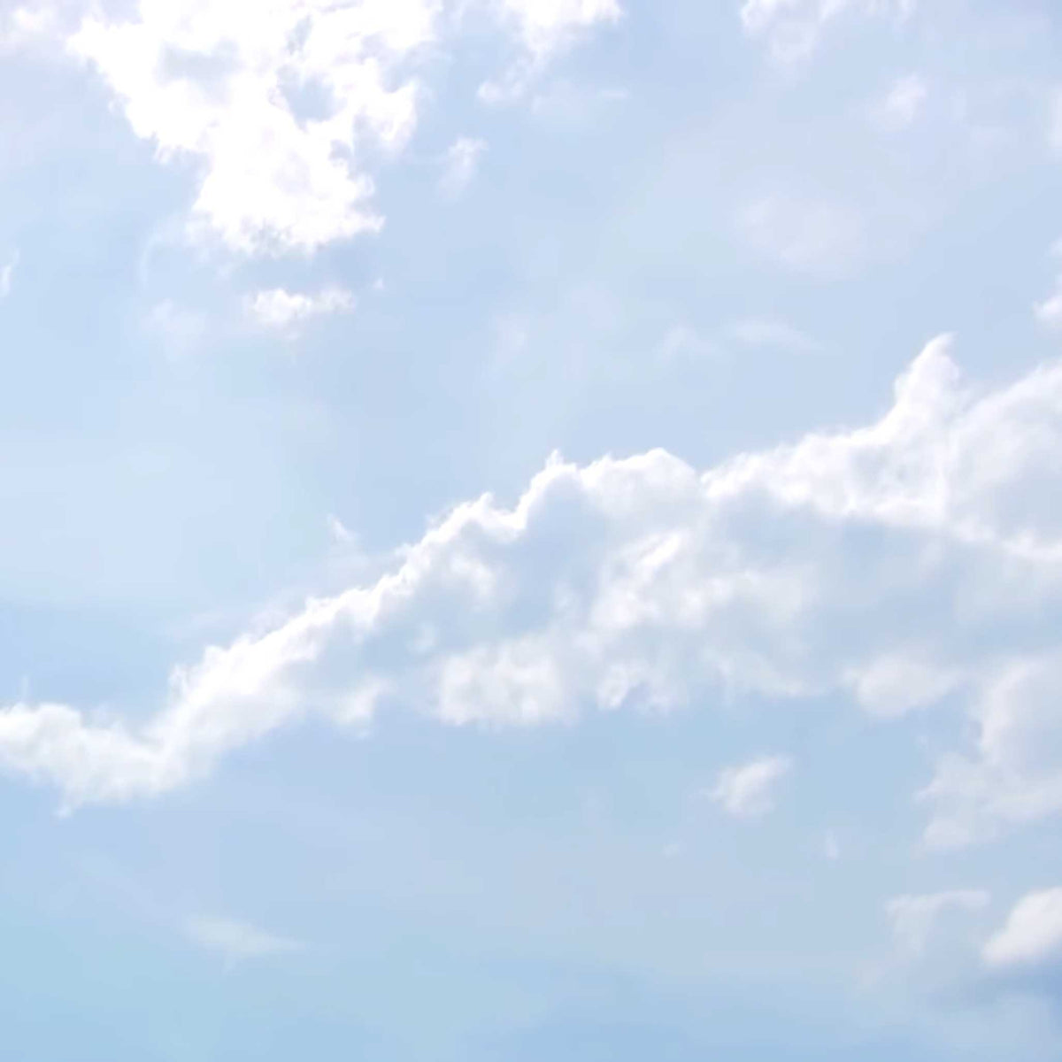 white puffy clouds in light blue sky with bright sunshine; https://cdn.shopify.com/s/files/1/0457/0333/1991/files/Cotton_Flower.mp4?v=1647027489