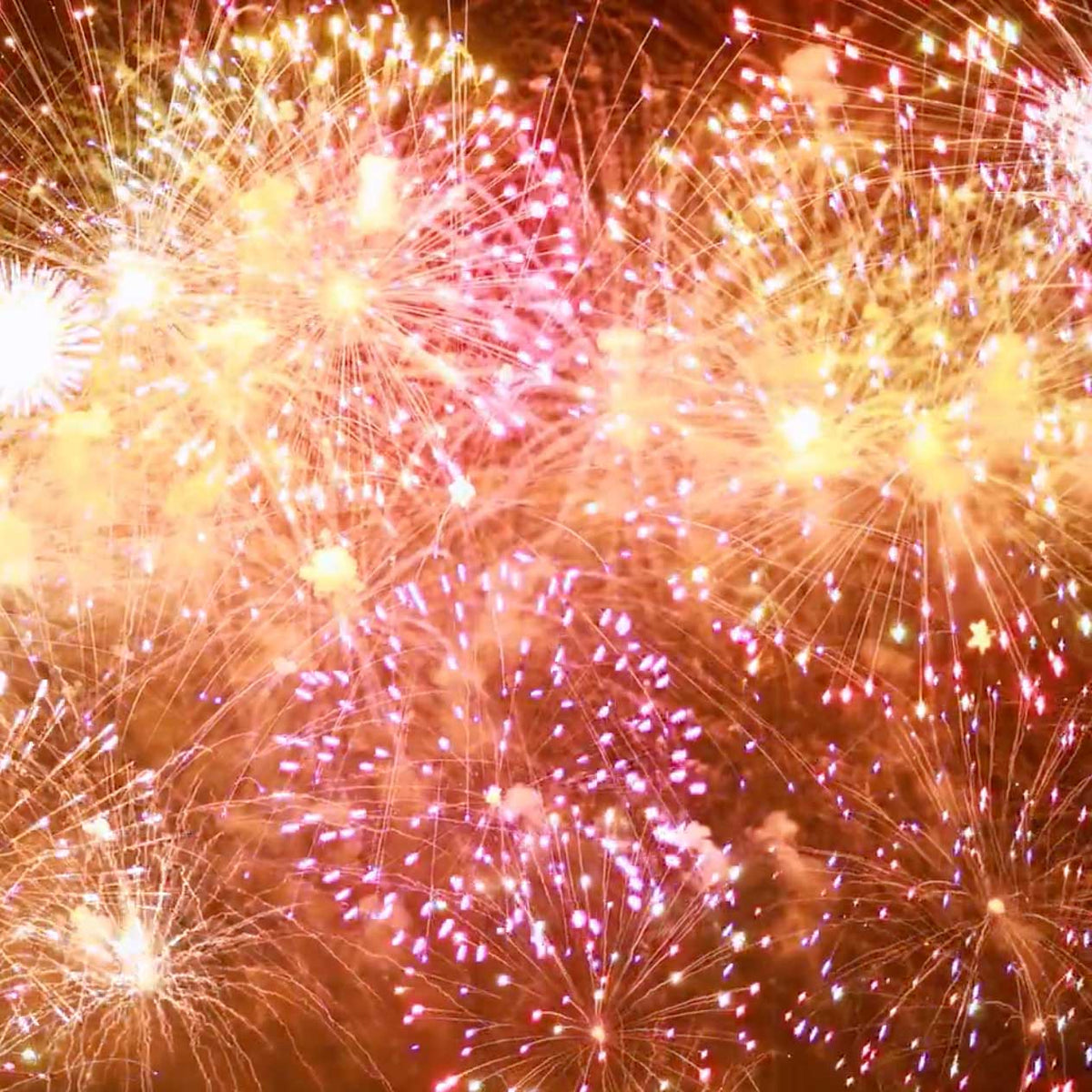 pink and yellow fireworks in night sky; https://cdn.shopify.com/s/files/1/0457/0333/1991/files/Venezia.mp4?v=1649276529